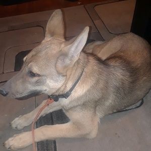 Meet your Posher, Mychialah